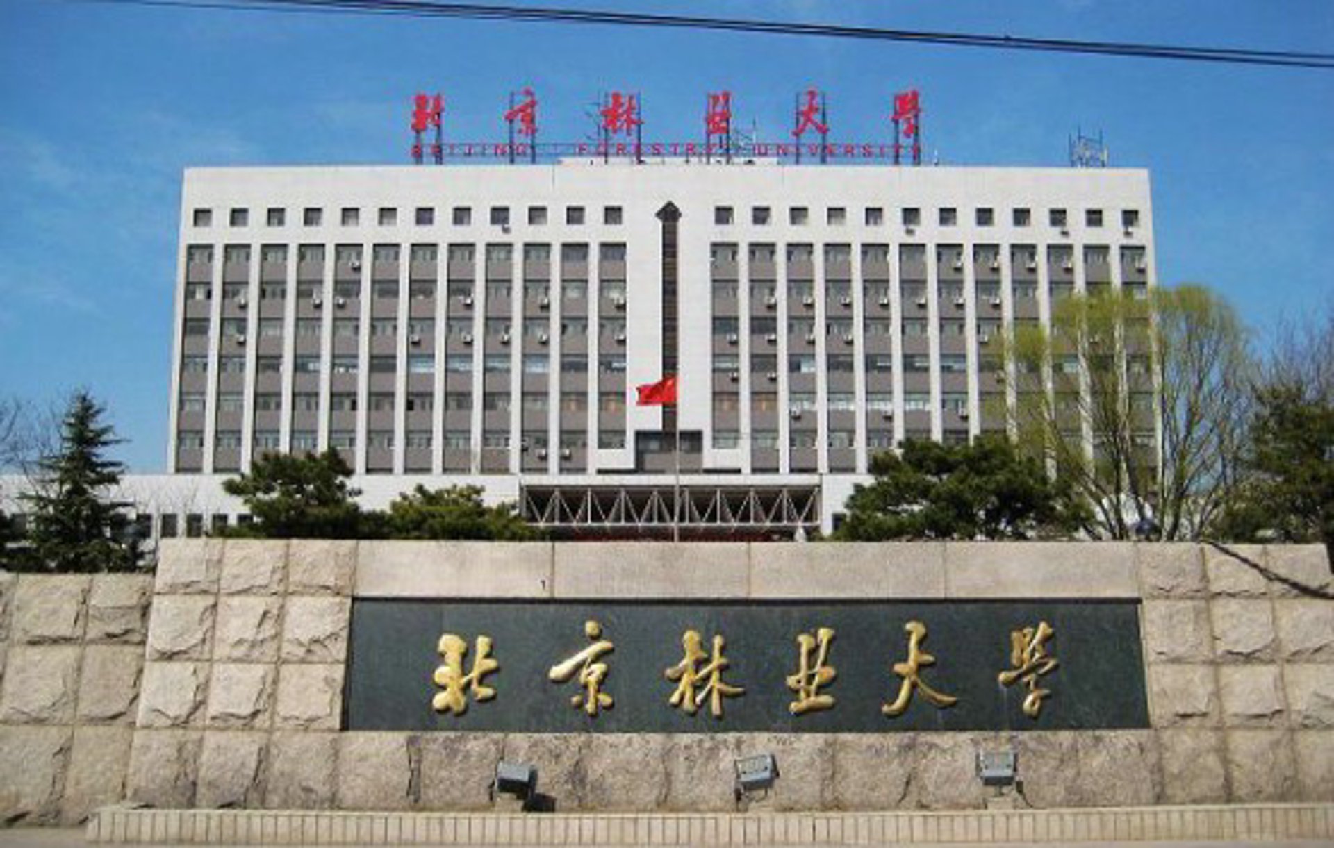 科林园林绿化