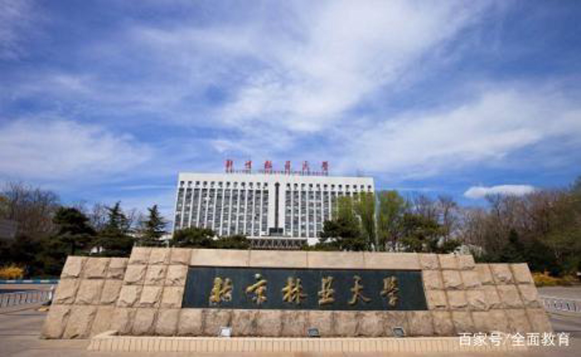 科林园林绿化